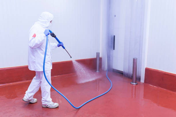Boat and Dock Cleaning in Hawthorne, NV