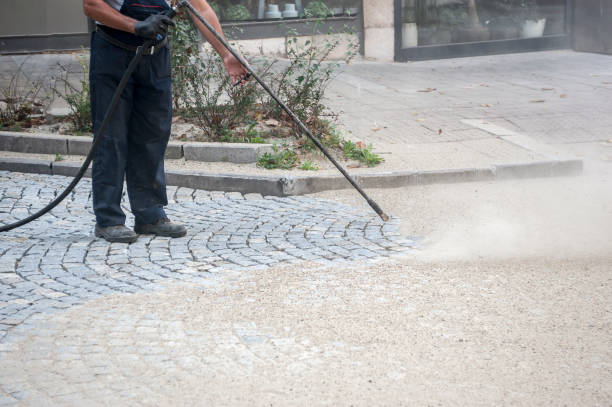 Best Driveway Pressure Washing  in Hawthorne, NV